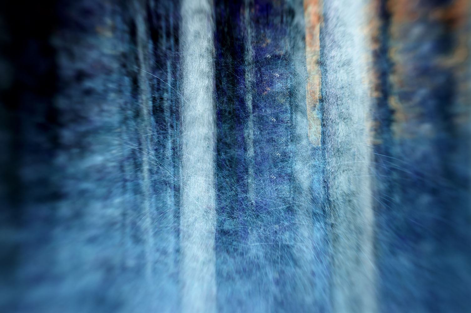 The Winter Blue Forest Wall Mural