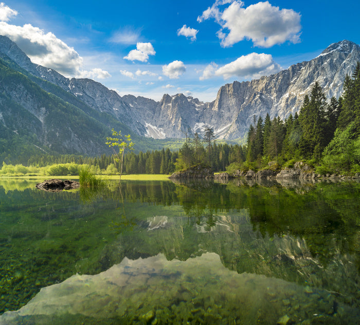 Mountain Lake In The Morning, Laghi Di Fusine In The Julian Alps, Ital