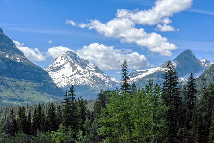Landscape View From Going-To-The-Sun Road In Glacier National Park Wal