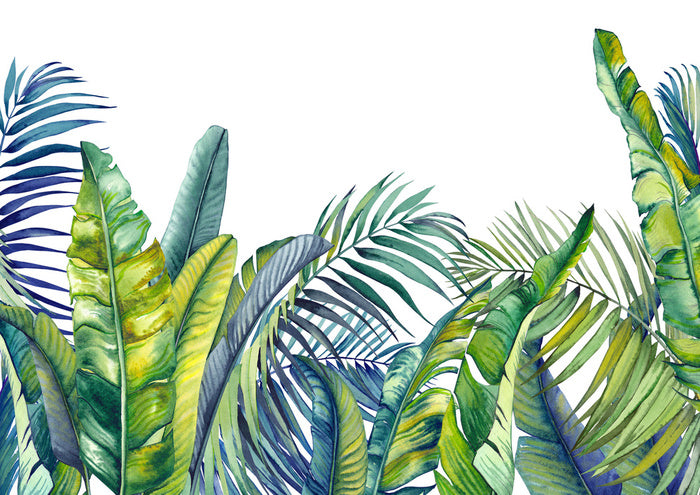 Tropical Palm And Banana Leaves Jungle Wallpaper Isolated Watercolor B
