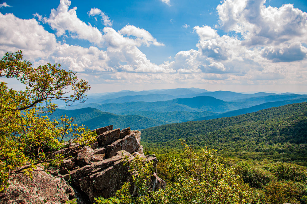 Summer View Of The Blue Ridge Mountains, Shenandoah National Park, Virginia, USA Wall Mural Questions & Answers