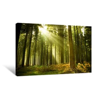 STUNNING WOODLAND TREES PARK STAIRWAY CANVAS PICTURE PRINT #2571 