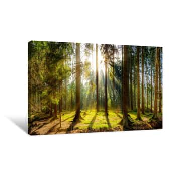 Forest Sunset Tranquil Outdoors Landscapes TREBLE CANVAS WALL ART Picture Print 