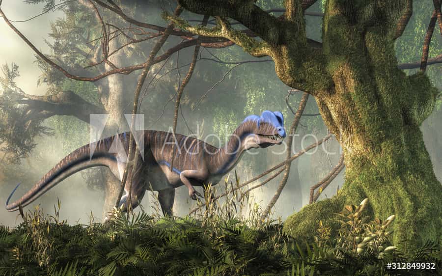 Dilophosaurus Dilophosaurus