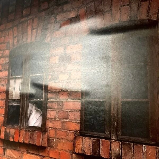 Wallpapering Over Paint | Limitless Walls