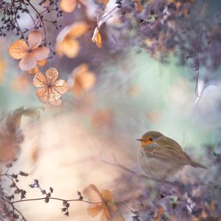 1X Art and Photography