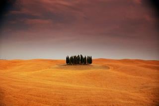 Robert Harding Photography Wall Murals