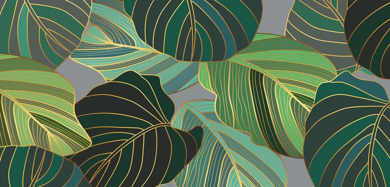 Floral & Botanical