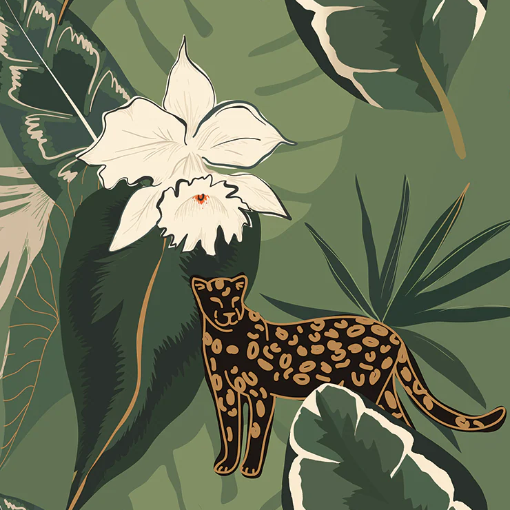 Wild & Animal