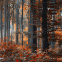 Seasonal