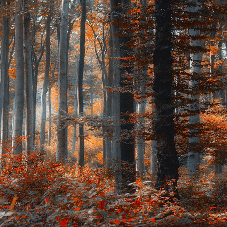 Seasonal