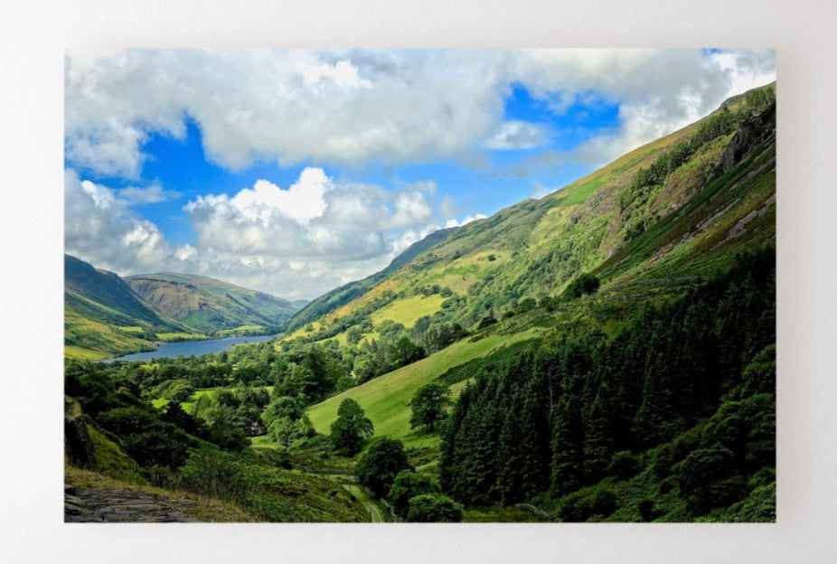 Kathy Barefield Photography