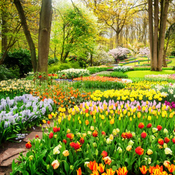 Spring