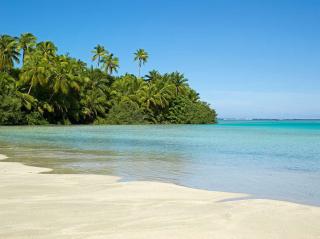 David Lawrence Photography