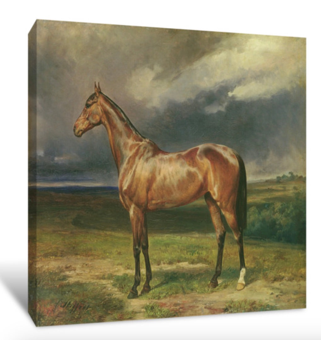Horses