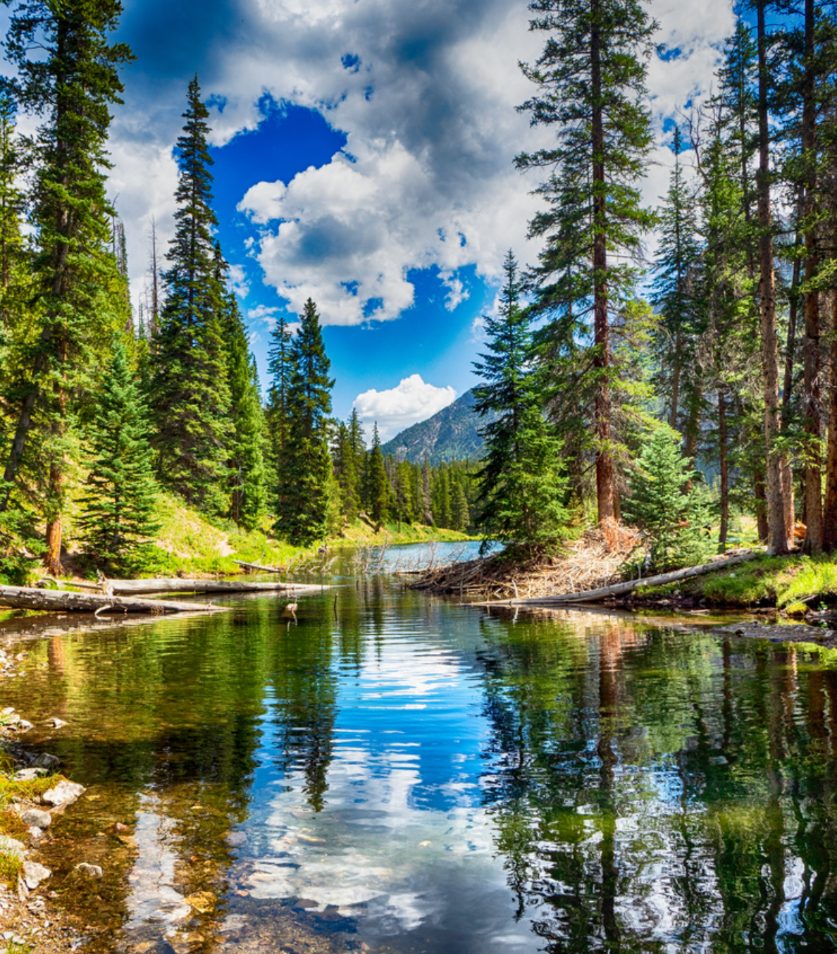 Lake and River Landscapes