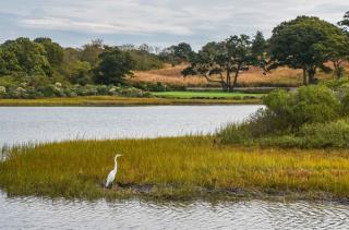 Fishers Island