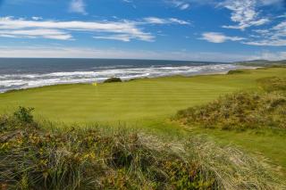 Pacific Dunes