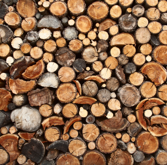 Wood