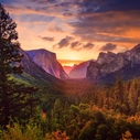 Landscape