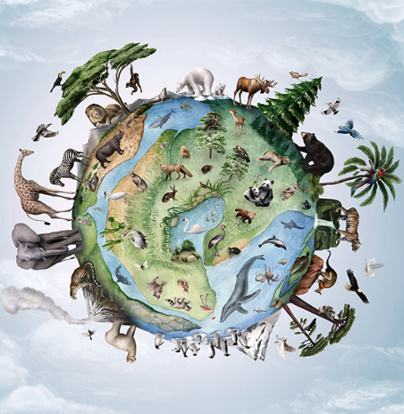 Animals