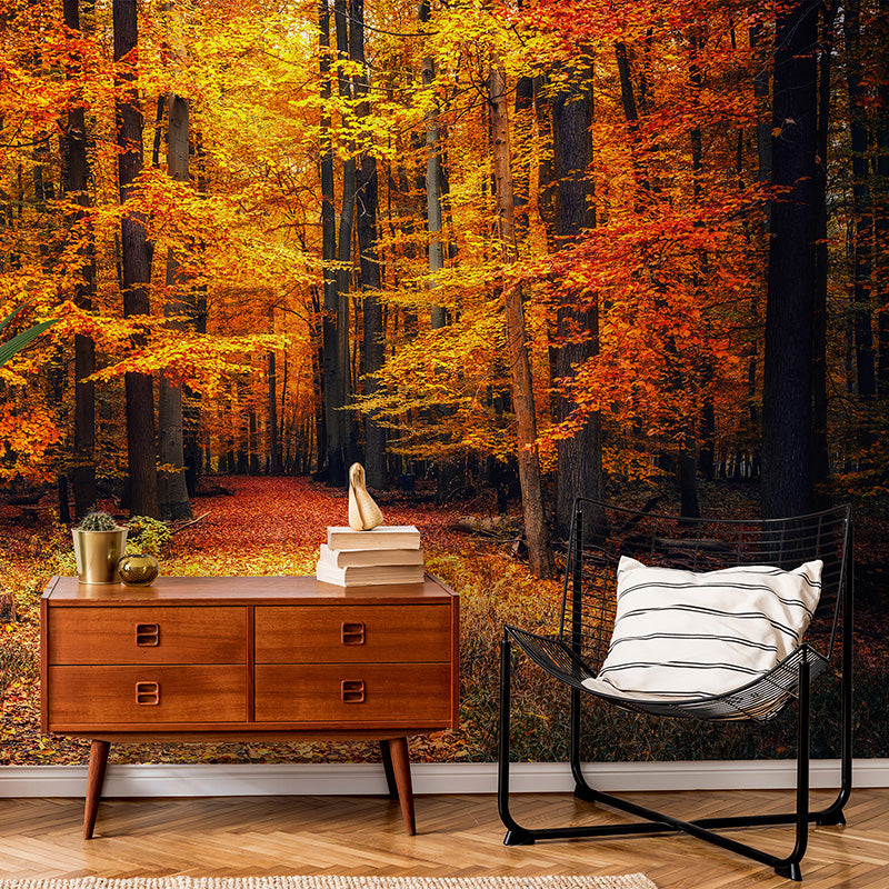 Fall Wall Murals