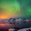 Auroras