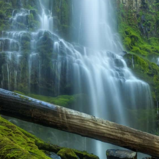 Bill Sherrell Photography