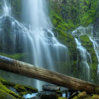 Bill Sherrell Photography