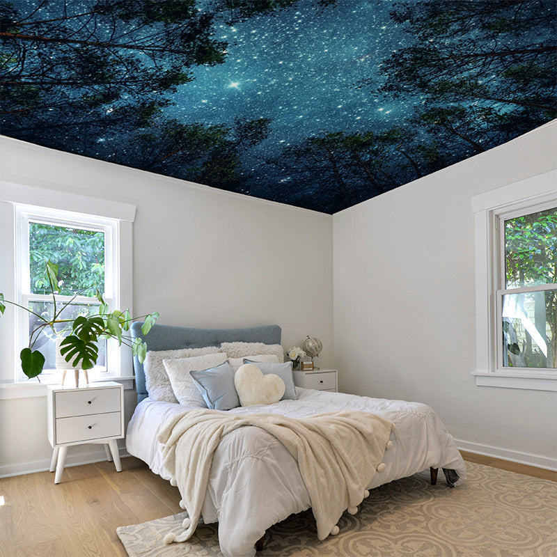 Ceilings