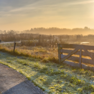 Country Landscapes