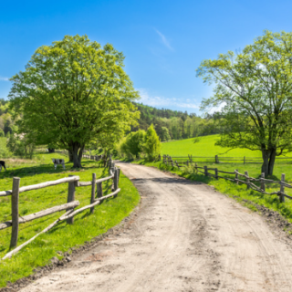 Country Landscapes