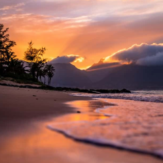 Hawaiian Beach