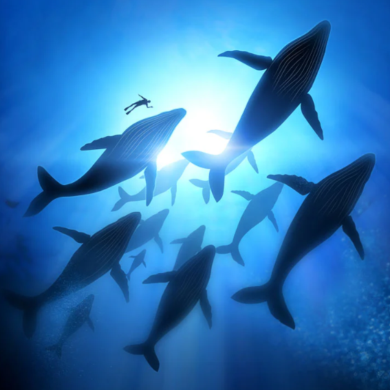 Sea