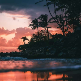 Lucas Moore Photography