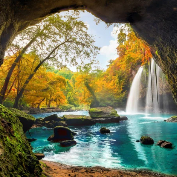 Nature