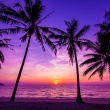 Sunsets