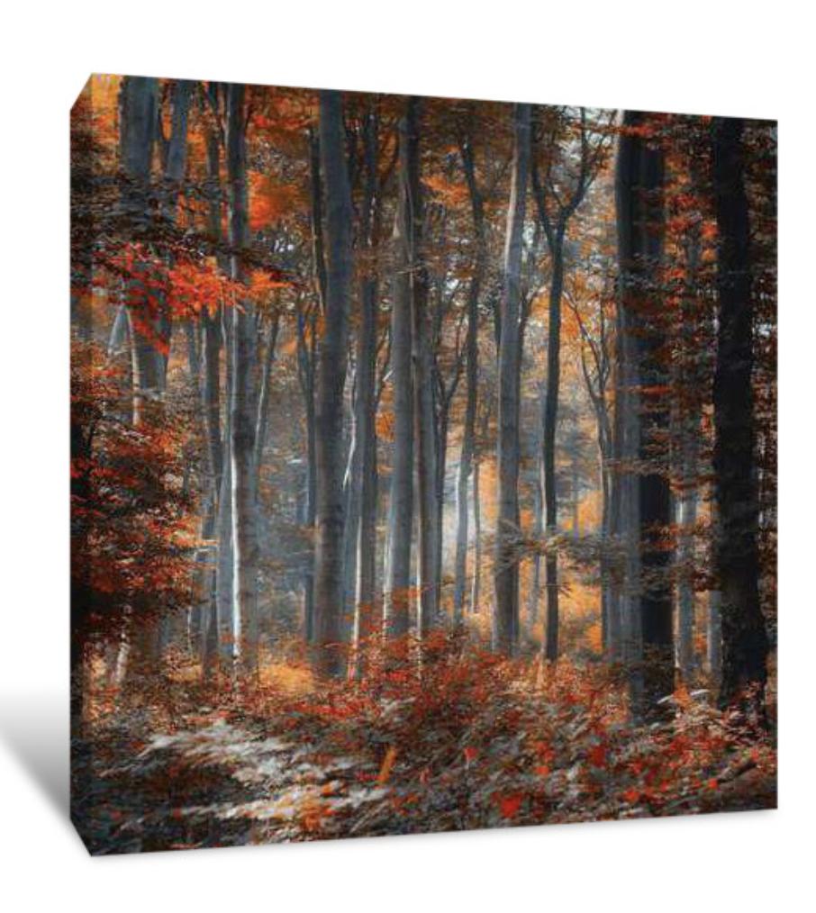 Trees