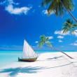 Tropical Beach