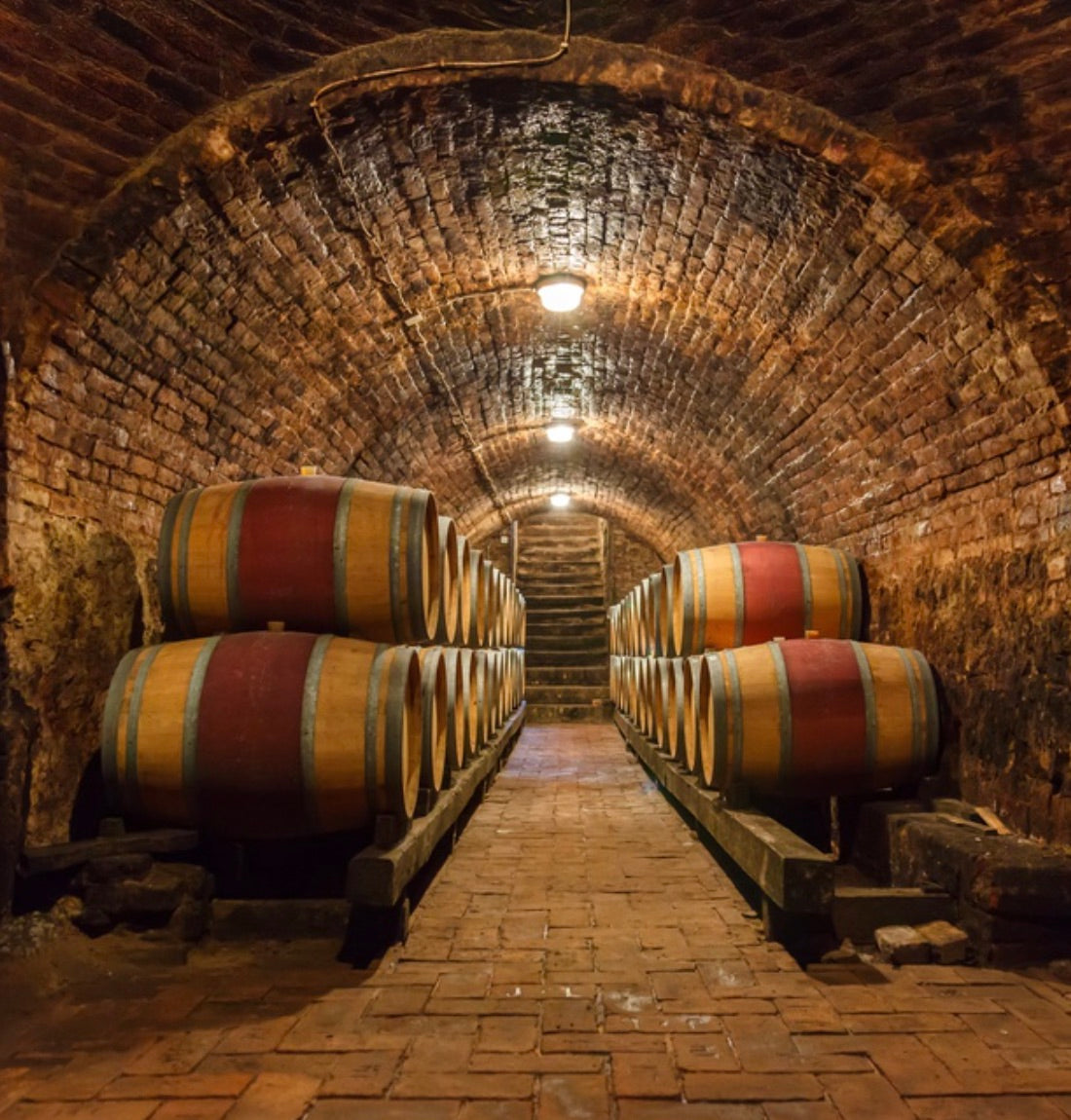 Wine Cellar