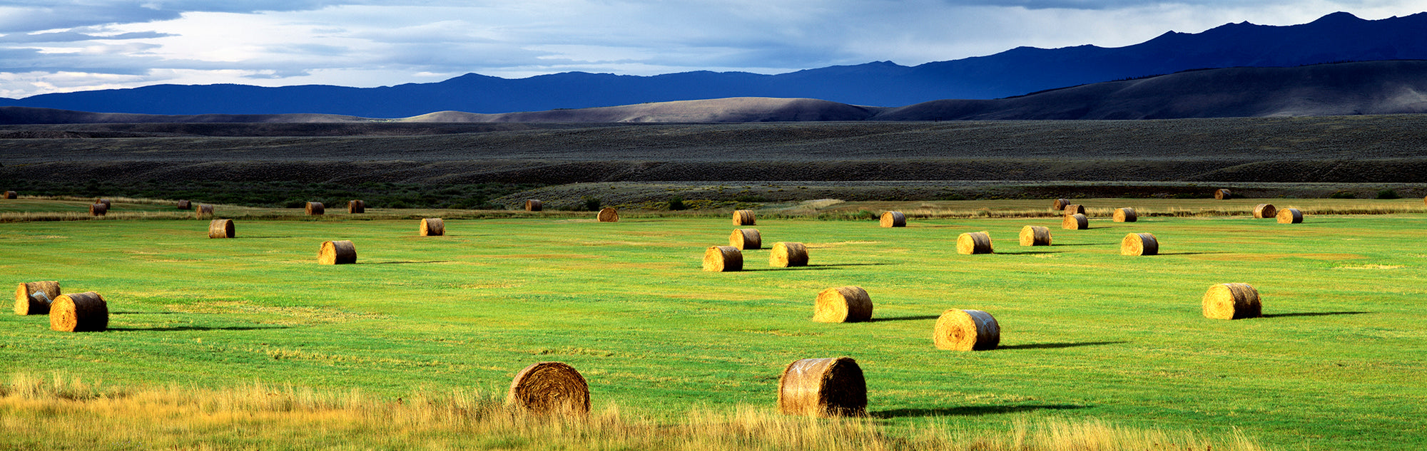 Haystacks, Field, Jackson County, Colorado, USA Wall Mural