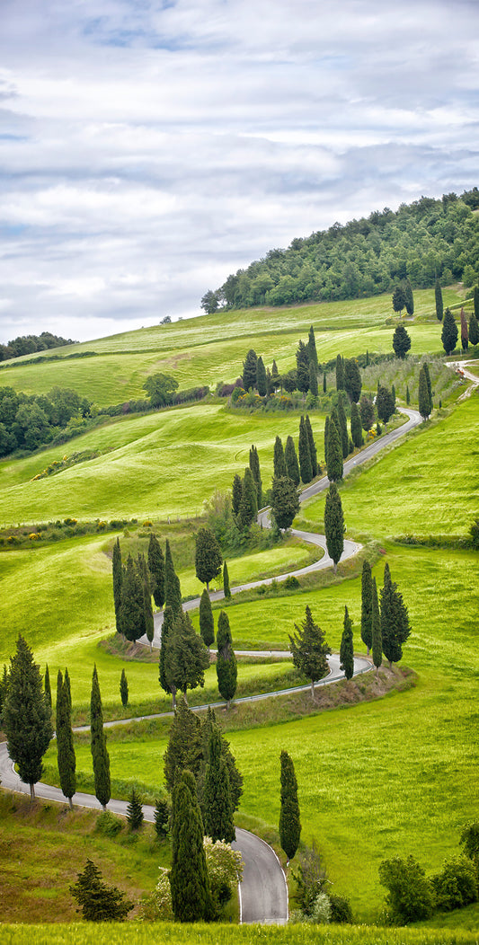 *CLEARANCE* Beautiful Landscape Of Tuscany With The Twisting Road And Cypresses Wall Mural