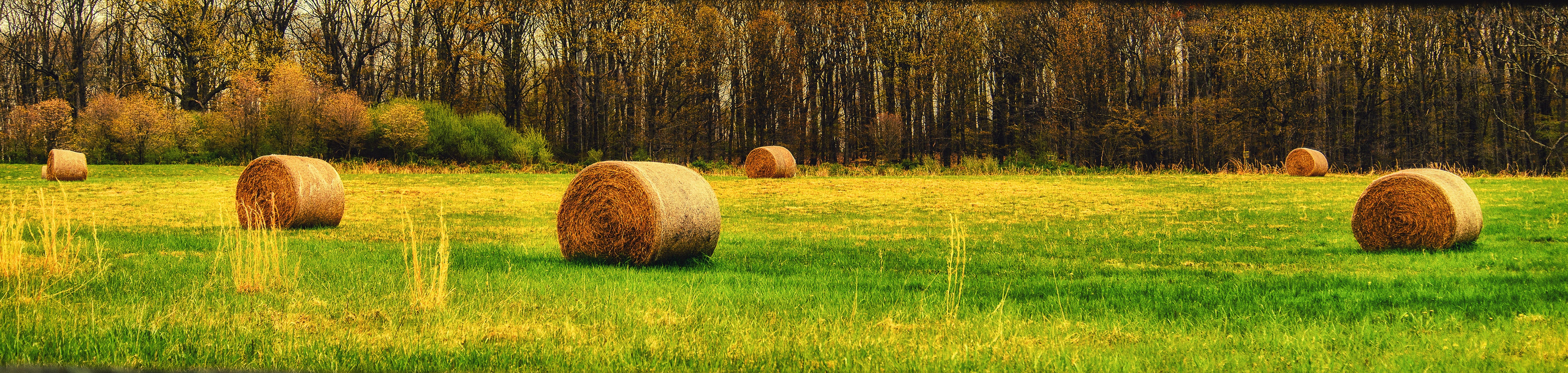 A Spring Pasture Panorama Wall Mural
