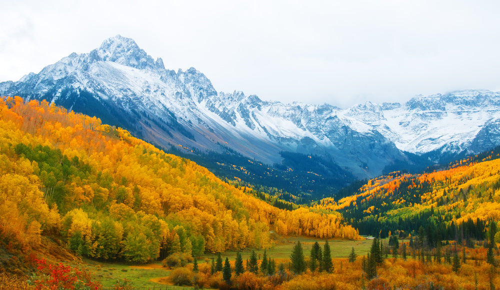 Mount Sneffels Near Ridgway Colorado In Autumn Wall Mural