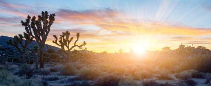 Colorful Sunset Light Shining Over Panoramic Desert Landscape Scene In