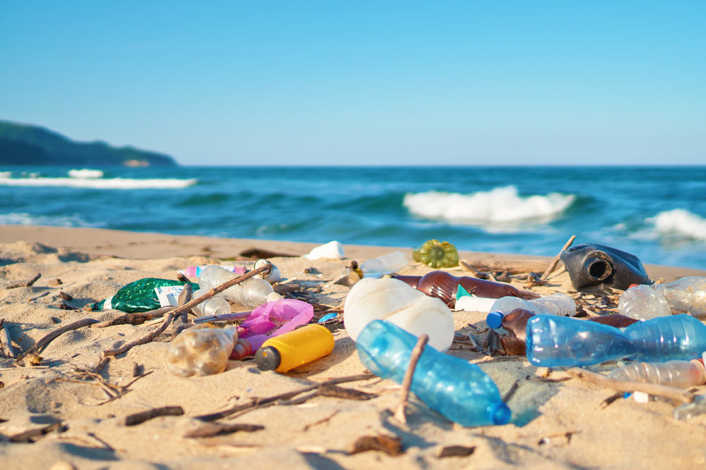 Spilled Garbage On The Beach Of The Big City Empty Used Dirty Plastic