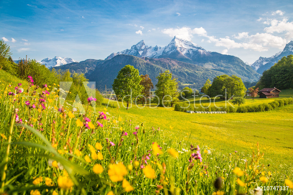 Springti Idyllic Mountain Scenery In The Alps With Blooming Meadows In Springti
