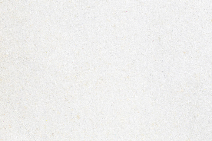 Fine Grey Paper Texture Wall Mural