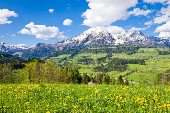 Alpine Landscape In The Spring Wall Mural