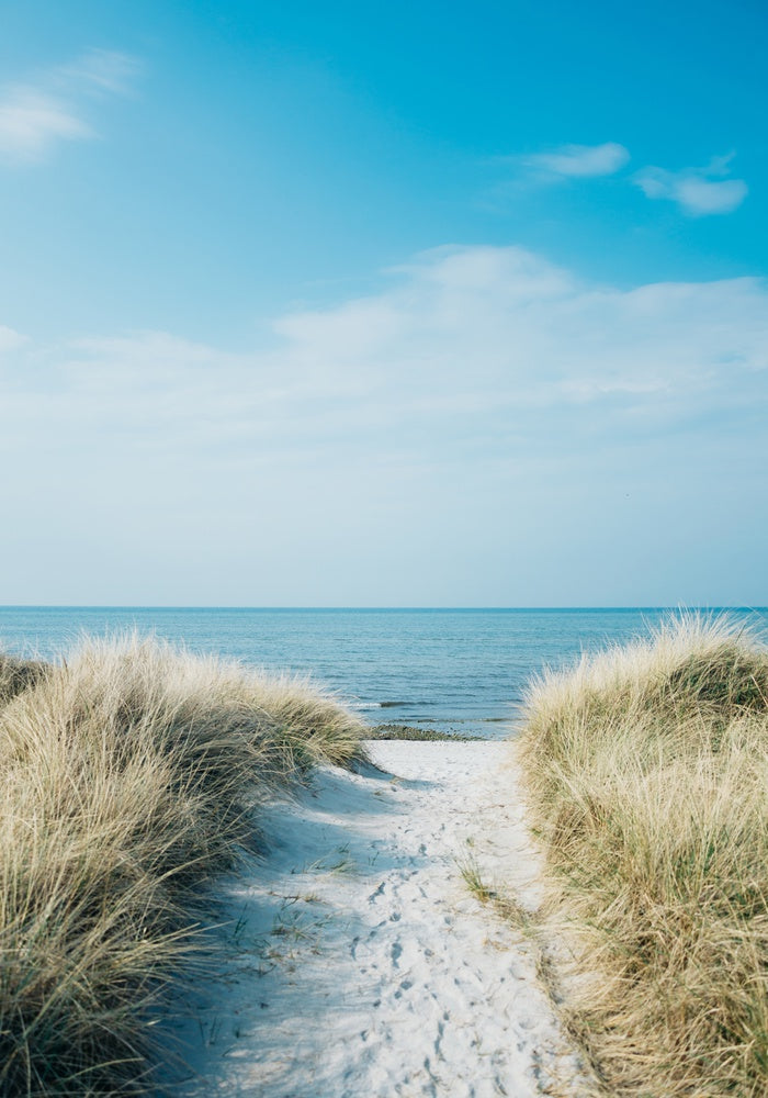 Vertical Shot Of A Pathway Leading To The Beach At The Ocean Shore Wal